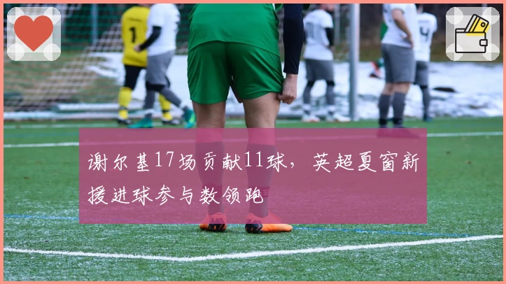 谢尔基17场贡献11球，英超夏窗新援进球参与数领跑