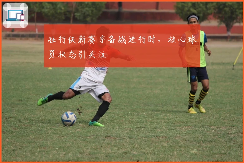 独行侠新赛季备战进行时，核心球员状态引关注